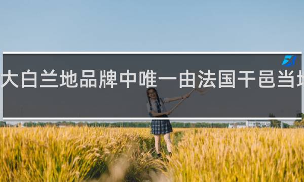 世界四大白兰地品牌中唯一由法国干邑当地人创建的是
