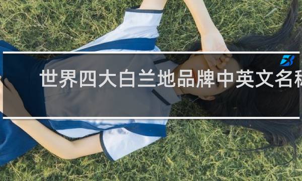 世界四大白兰地品牌中英文名称