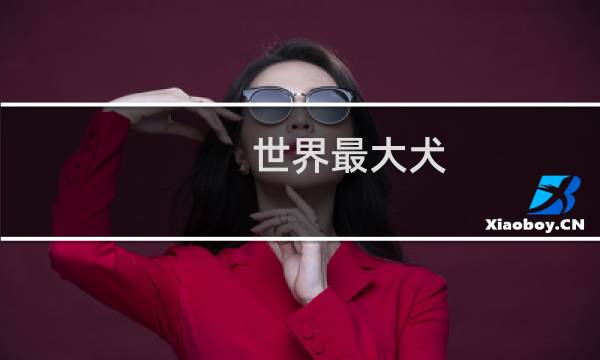 世界最大犬