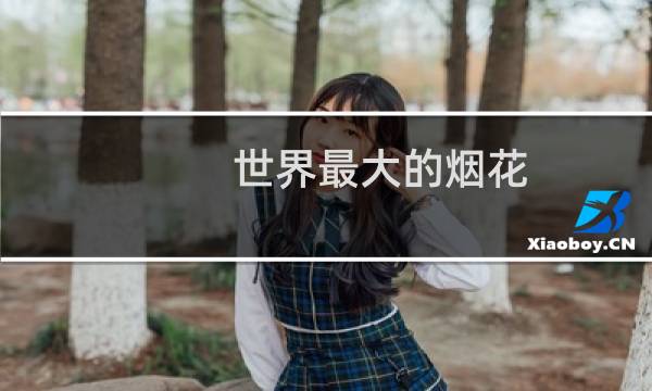 世界最大的烟花