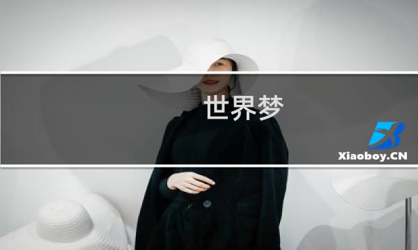 世界梦 攻略