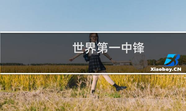 世界第一中锋
