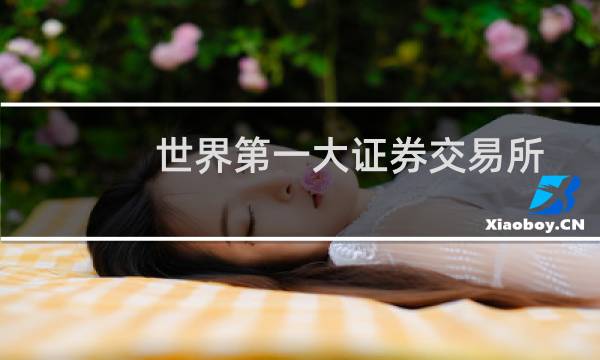 世界第一大证券交易所