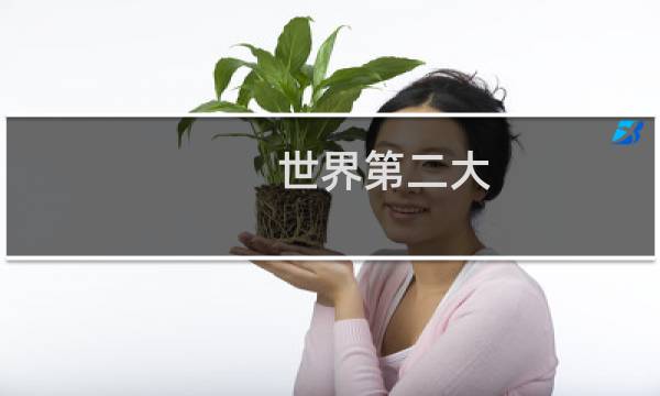世界第二大