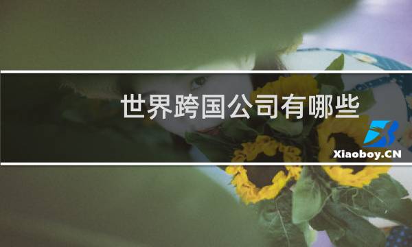 世界跨国公司有哪些