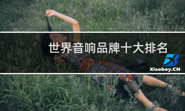 世界音响品牌十大排名