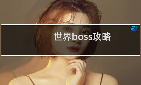 世界boss攻略
