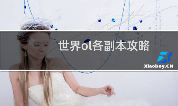 世界ol各副本攻略