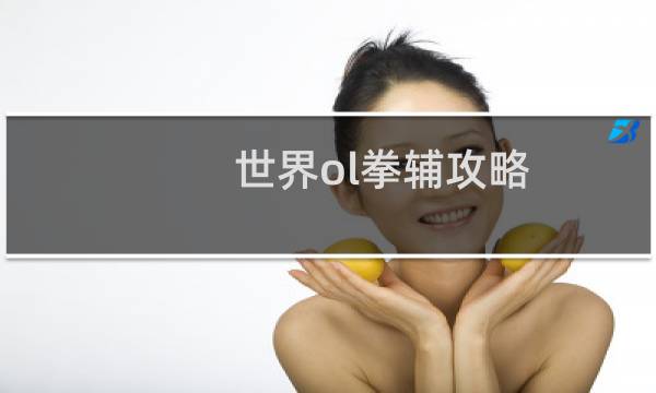 世界ol拳辅攻略