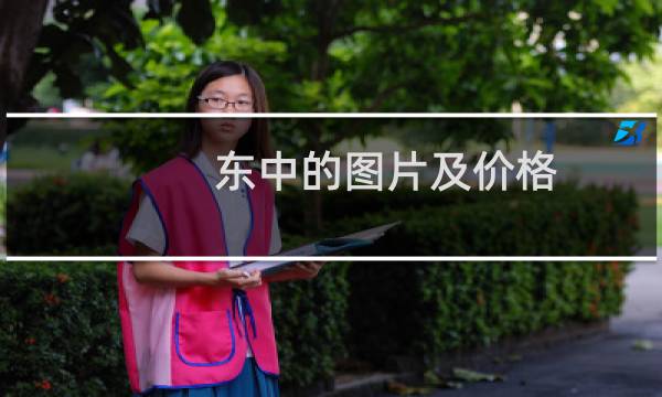东中的图片及价格