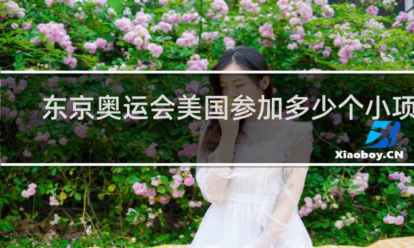 东京奥运会美国参加多少个小项目