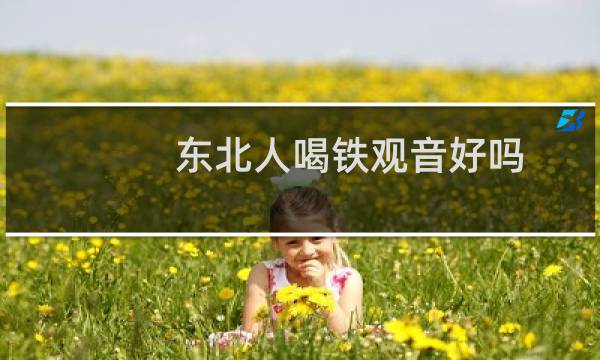 东北人喝铁观音好吗