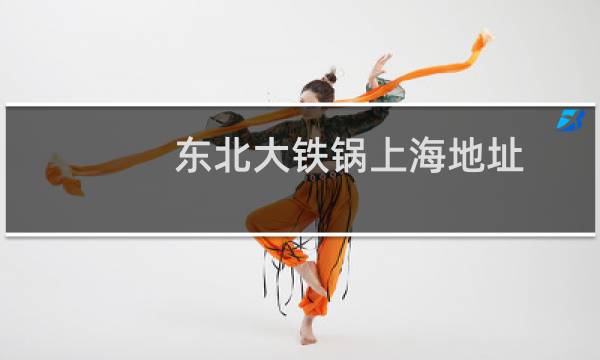 东北大铁锅上海地址