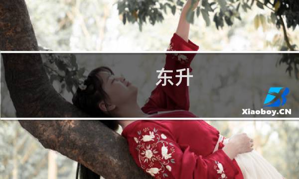 东升 攻略