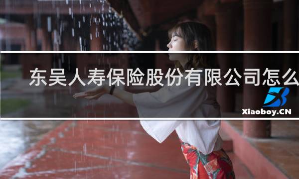 东吴人寿保险股份有限公司怎么样