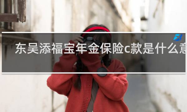 东吴添福宝年金保险c款是什么意思