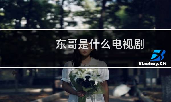 东哥是什么电视剧