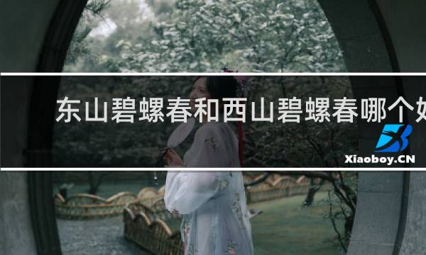 东山碧螺春和西山碧螺春哪个好