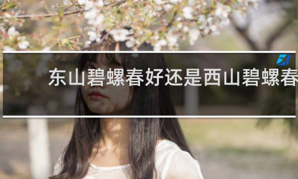 东山碧螺春好还是西山碧螺春