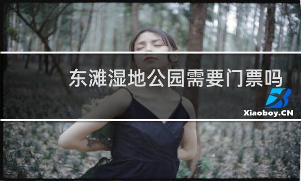东滩湿地公园需要门票吗