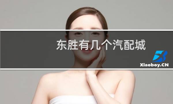东胜有几个汽配城