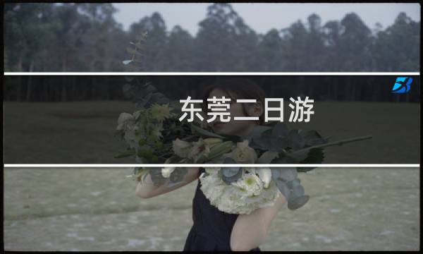 东莞二日游