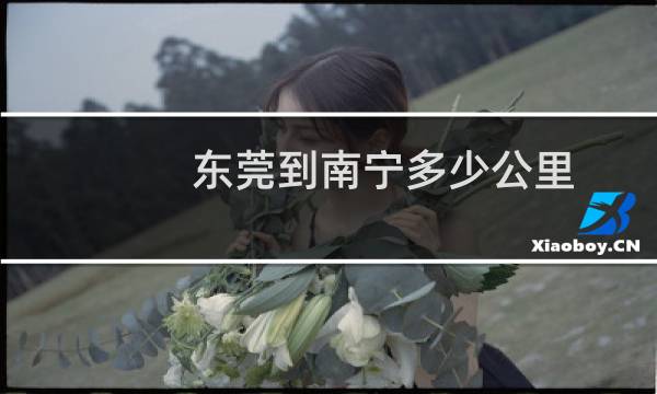 东莞到南宁多少公里
