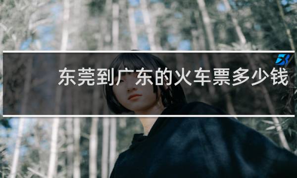 东莞到广东的火车票多少钱