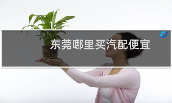 东莞哪里买汽配便宜