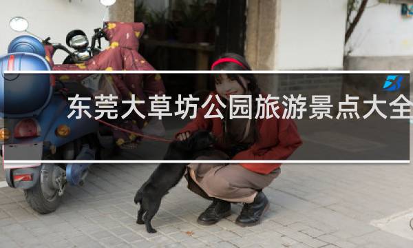 东莞大草坊公园旅游景点大全