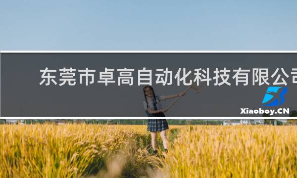 东莞市卓高自动化科技有限公司