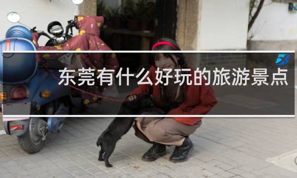 东莞有什么好玩的旅游景点