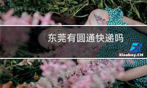 东莞有圆通快递吗
