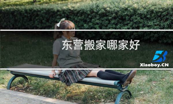 东营搬家哪家好