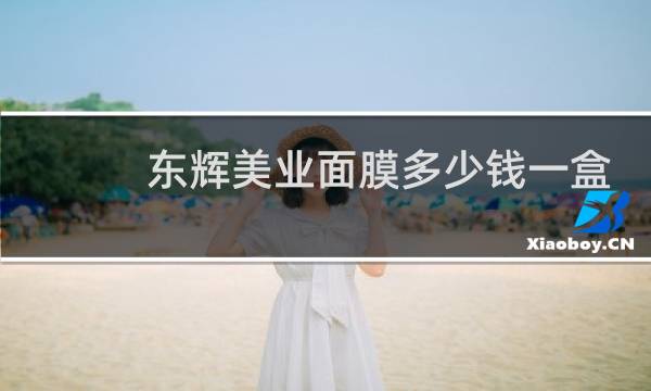 东辉美业面膜多少钱一盒
