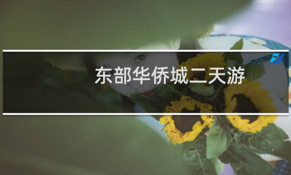东部华侨城二天游