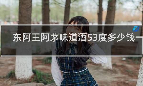 东阿王阿茅味道酒53度多少钱一瓶