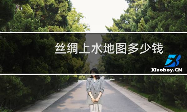 丝绸上水地图多少钱