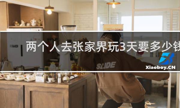 两个人去张家界玩3天要多少钱