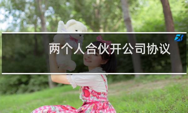 两个人合伙开公司协议