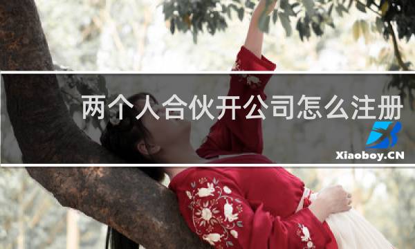 两个人合伙开公司怎么注册
