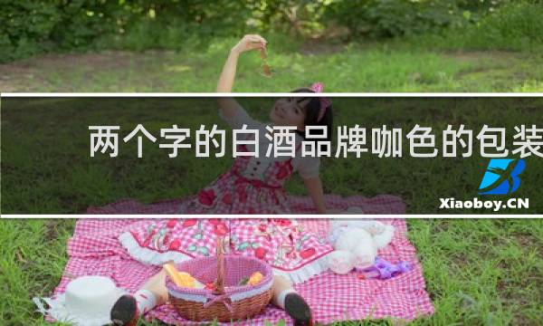 两个字的白酒品牌咖色的包装