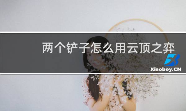 两个铲子怎么用云顶之弈