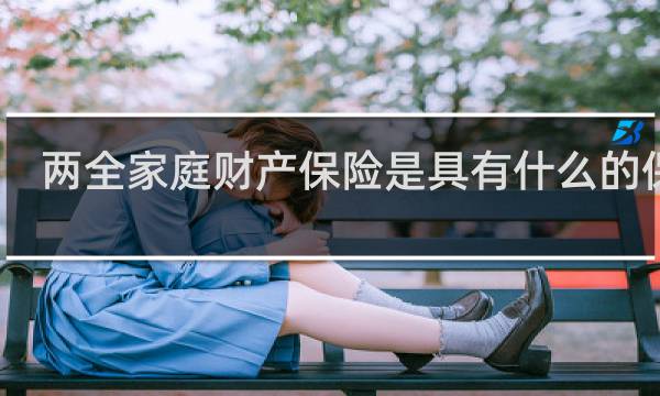 两全家庭财产保险是具有什么的保险