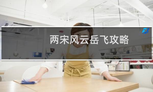 两宋风云岳飞攻略