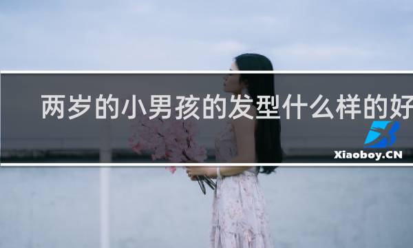 两岁的小男孩的发型什么样的好看