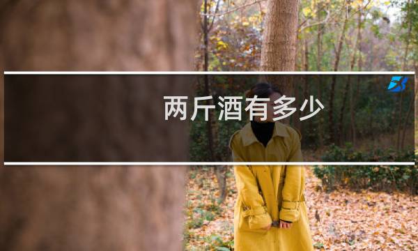 两斤酒有多少