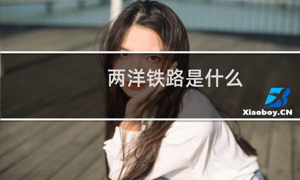 两洋铁路是什么