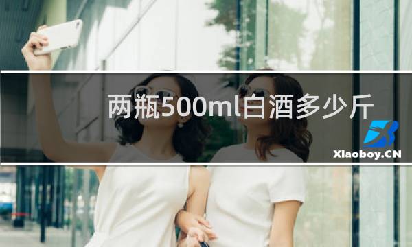 两瓶500ml白酒多少斤
