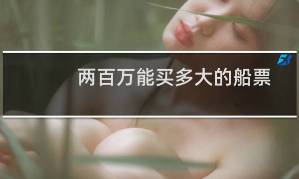 两百万能买多大的船票